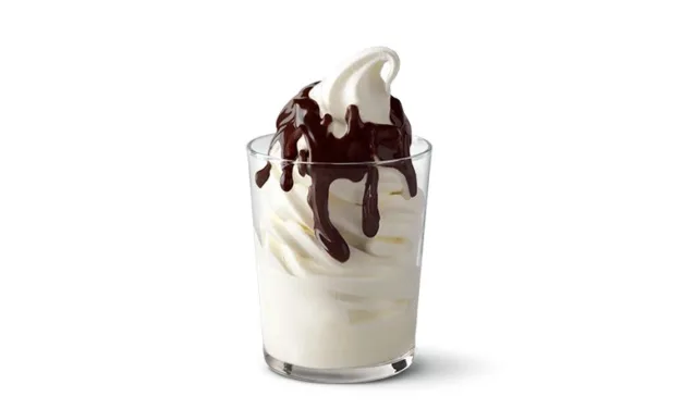 JULY 25-NATIONAL HOT FUDGE SUNDAE DAY