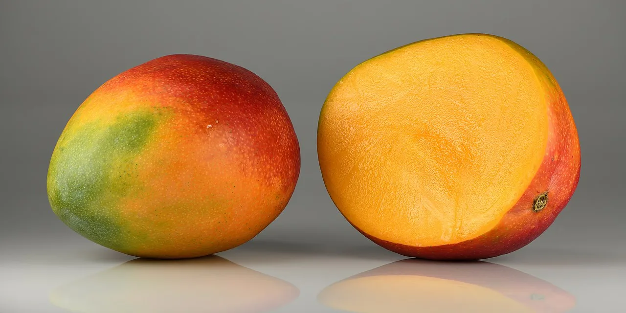 JULY 22-NATIONAL MANGO DAY