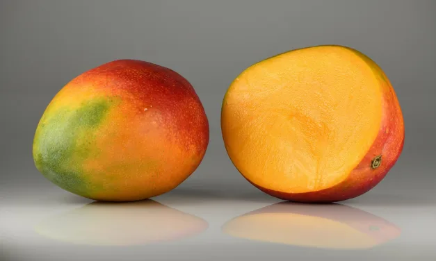 JULY 22-NATIONAL MANGO DAY