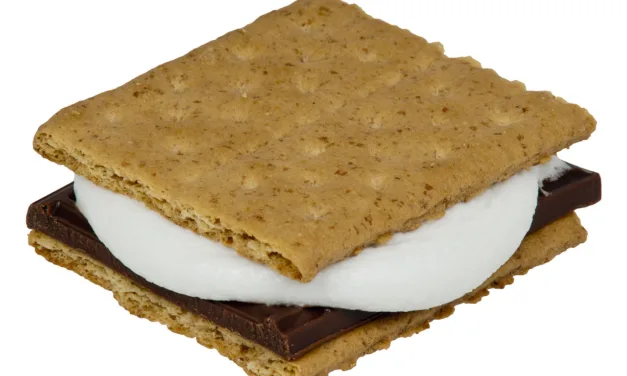 AUGUST 10-NATIONAL S’MORES DAY