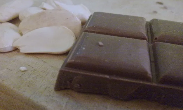 NOVEMBER 7-NATIONAL BITTERSWEET CHOCOLATE WITH ALMONDS DAY