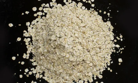 OCTOBER 29-NATIONAL OATMEAL DAY