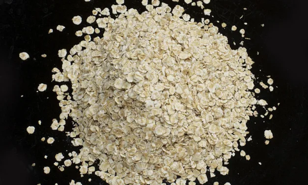 OCTOBER 29-NATIONAL OATMEAL DAY