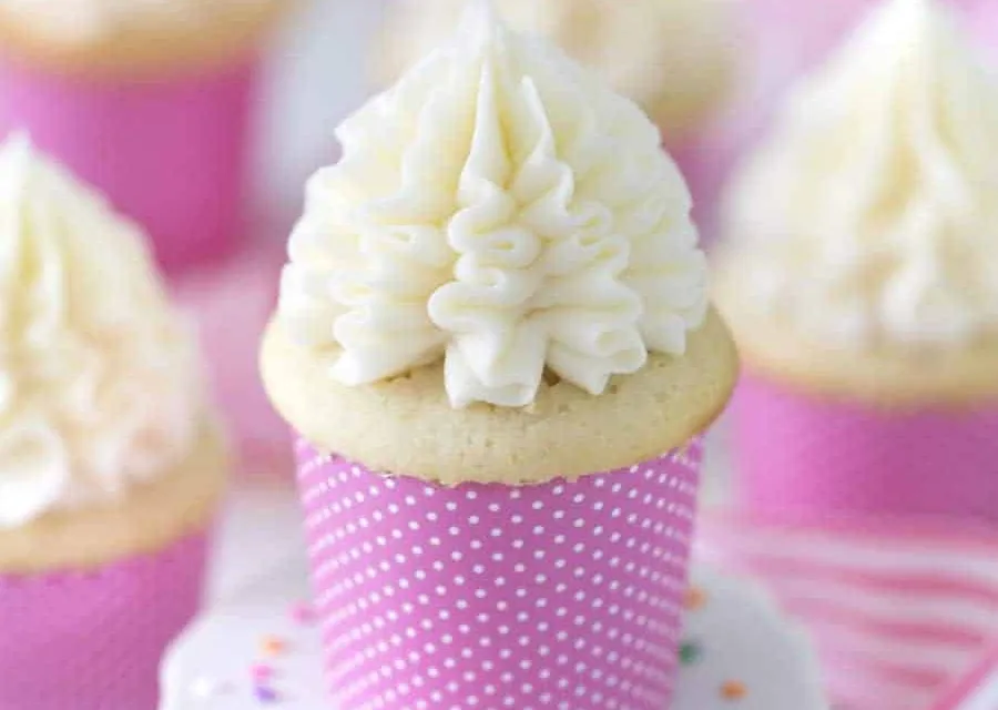 NOVEMBER 10-NATIONAL VANILLA CUPCAKE DAY