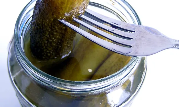 NOVEMBER 14-NATIONAL PICKLE DAY