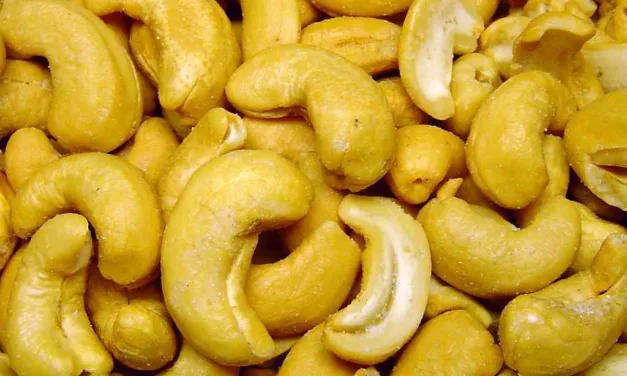 NOVEMBER 23-NATIONAL CASHEW DAY