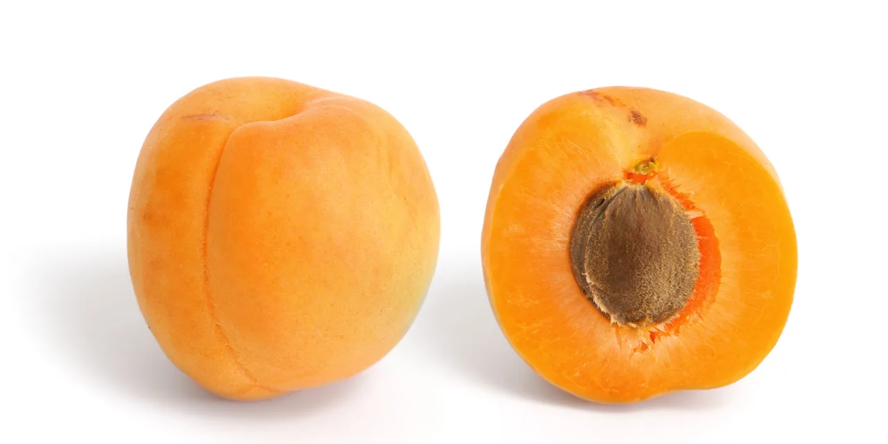 JANUARY 9-NATIONAL APRICOT DAY