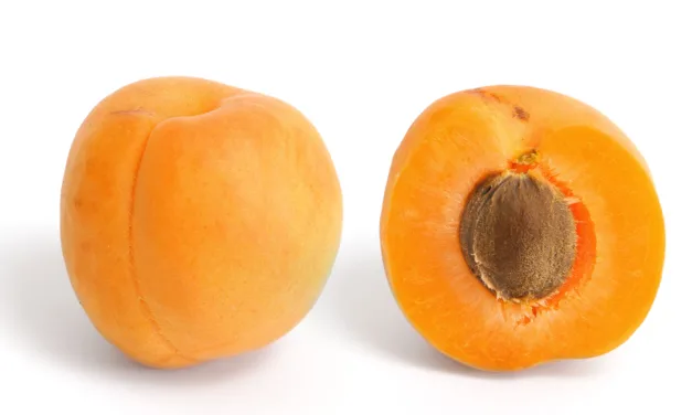 JANUARY 9-NATIONAL APRICOT DAY